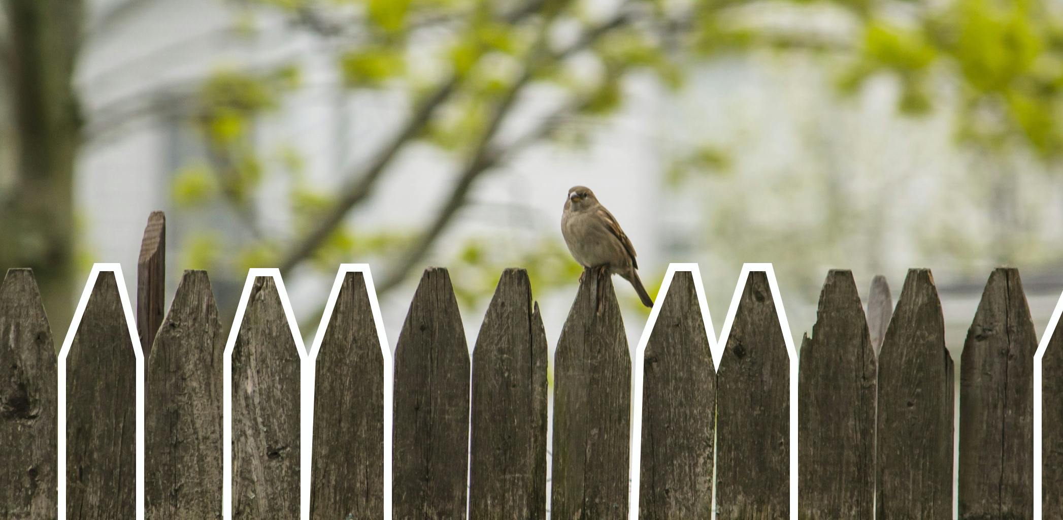 Безопасность превыше всего. Какой забор выбрать